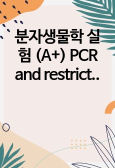 분자생물학 실험 (A+) PCR and restriction enzyme digestion 결과보고서