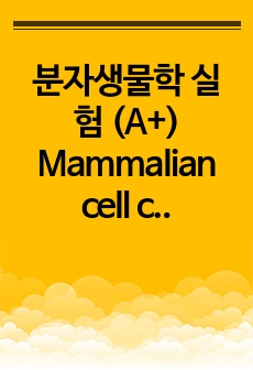 분자생물학 실험 (A+) Mammalian cell cultrure and transfection 결과보고서