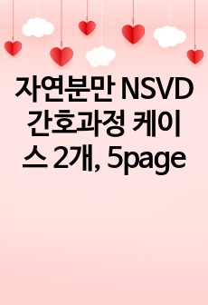 자연분만 NSVD 간호과정 케이스 2개, 5page