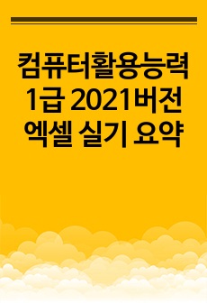 컴퓨터활용능력1급  2021버전 엑셀 실기 요약