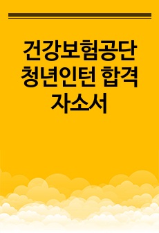 건강보험공단 청년인턴 합격 자소서