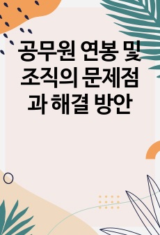 공무원 연봉 및 조직의 문제점과 해결 방안