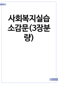 사회복지실습 소감문(3장분량)