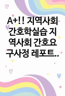 A+!! 지역사회간호학실습 지역사회 간호요구사정 레포트 자료입니다!