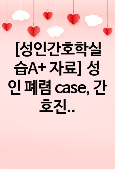 [성인간호학실습A+ 자료] 성인 폐렴 case, 간호진단, 간호계획, 문헌고찰, 출처 표기등 완전 꼼꼼함!~!