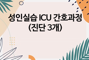 성인실습 ICU 간호과정 (진단 3개)