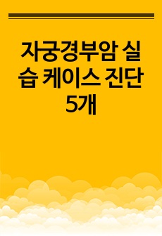 자료 표지