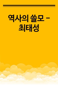 역사의 쓸모 - 최태성