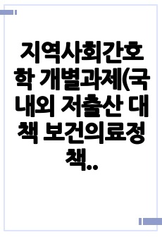 지역사회간호학 개별과제(국내외 저출산 대책 보건의료정책 비교)