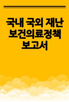 국내 국외 재난 보건의료정책 보고서