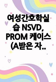 여성간호학실습 NSVD, PROM  케이스 (A받은 자료입니다)