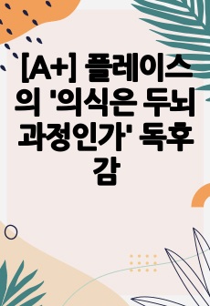 [A+] 플레이스의 '의식은 두뇌 과정인가' 독후감