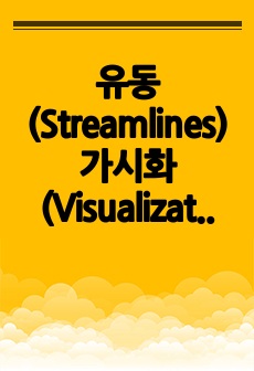 유동(Streamlines) 가시화(Visualization) 실험 보고서