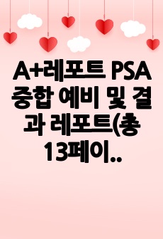 A+레포트 PSA중합 예비 및 결과 레포트(총 13페이지)