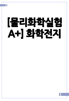 [물리화학실험 A+] 화학전지