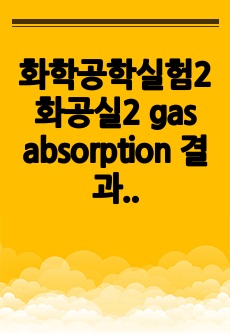 화학공학실험2 화공실2 gas absorption 결과레포트