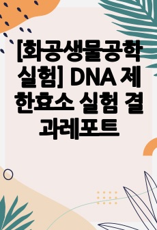 [화공생물공학실험] DNA 제한효소 실험 결과레포트