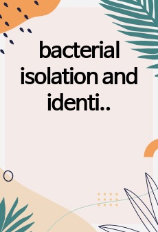 bacterial isolation and identification 예비, 결과 보고서