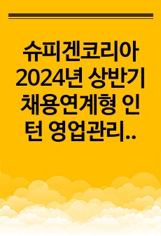 슈피겐코리아 2024년 상반기 채용연계형 인턴 영업관리 부문 서류합격 자기소개서