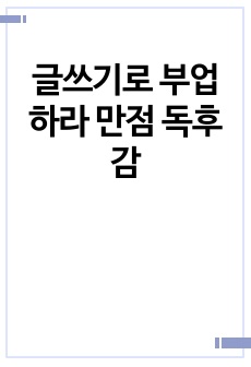 글쓰기로 부업하라 만점 독후감