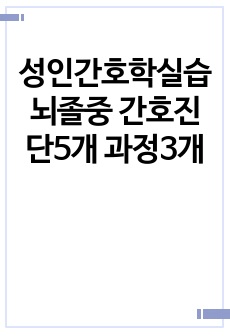 성인간호학실습 뇌졸중 간호진단5개 과정3개