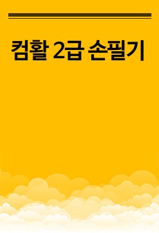 컴활 2급 손필기