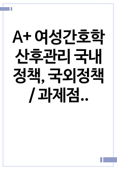 A+ 여성간호학 산후관리 국내정책, 국외정책 / 과제점수 만점