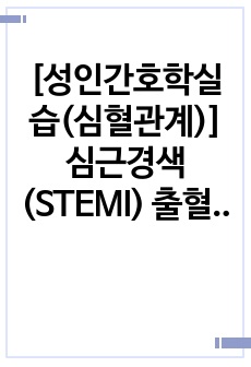 자료 표지