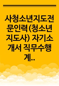 사청소년지도전문인력(청소년지도사) 자기소개서 직무수행계획서