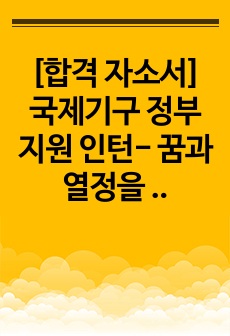 [합격 자소서] 국제기구 정부지원 인턴- 꿈과 열정을 담은 경험