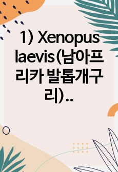 1) Xenopus laevis(남아프리카 발톱개구리) 배아의 전후축, 등배축 형성 분석 / 2) Chick embryo의 발생과정 관찰과 Chorioallantoic Membrane(CAM) assay