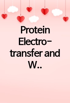 Protein Electro-transfer and Western blot