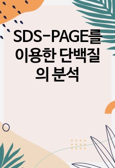 SDS-PAGE를 이용한 단백질의 분석